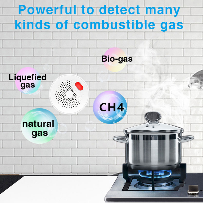 Датчик утечки газа Tuya Smart  – обзор и цена Home Security Gadgets