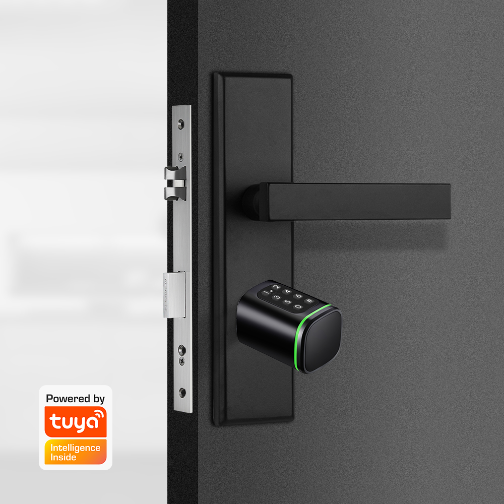 Умный цилиндрический замок Tuy – обзор и цена Home Security Guard